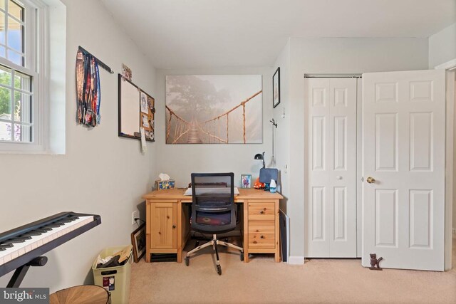 10407 Skinner Hill Dr, Fredericksburg, VA 22408 - photo 24