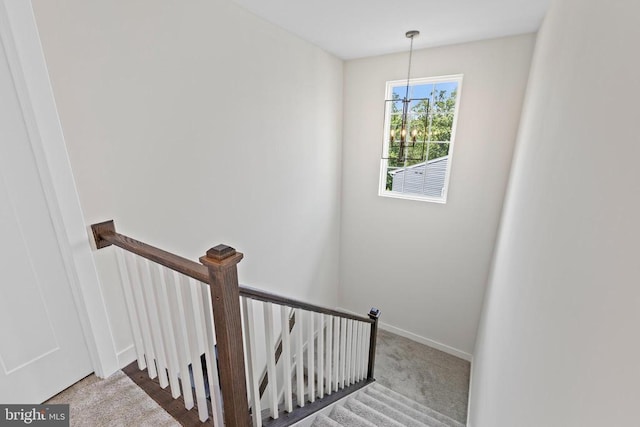 5018 Birch Leaf Cir, Fredericksburg, VA 22407 - photo 26