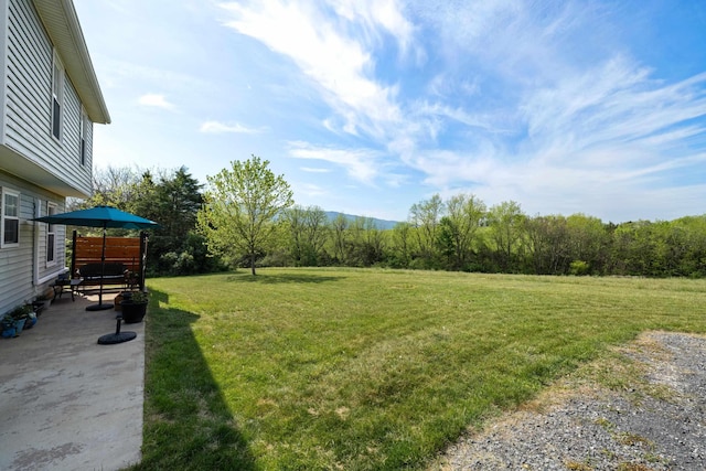 view of grassy yard featuring a patio area