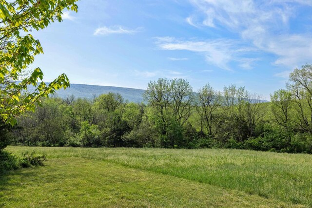 view of yard with a wooded view, a rural view, and a mountain view