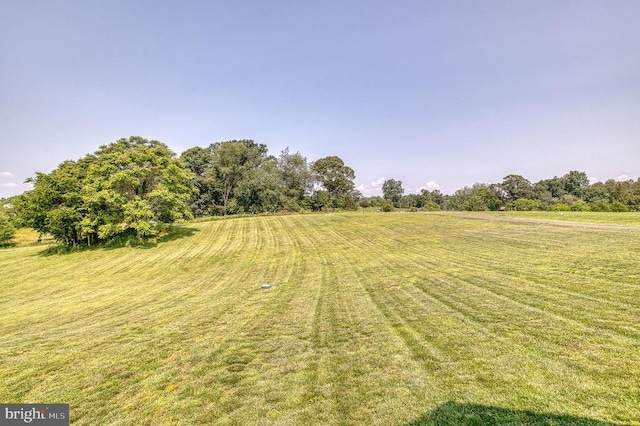11400 Alvin Ln, Culpeper, VA 22701 - view of green lawn