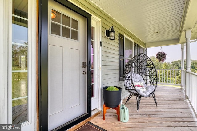 11400 Alvin Ln, Culpeper, VA 22701 - view of porch