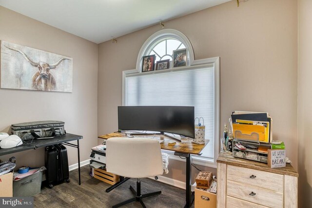 11400 Alvin Ln, Culpeper, VA 22701 - office featuring dark wood finished floors