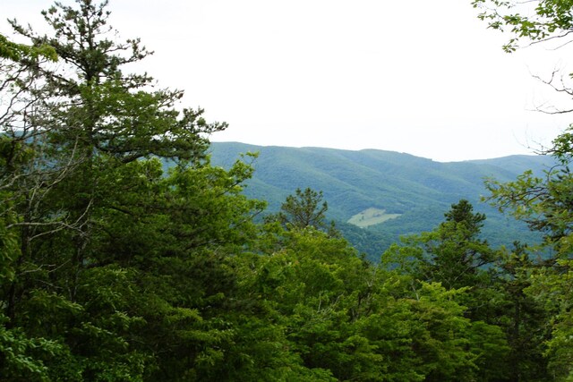 41 High Valley Dr S, Monterey, VA 24465