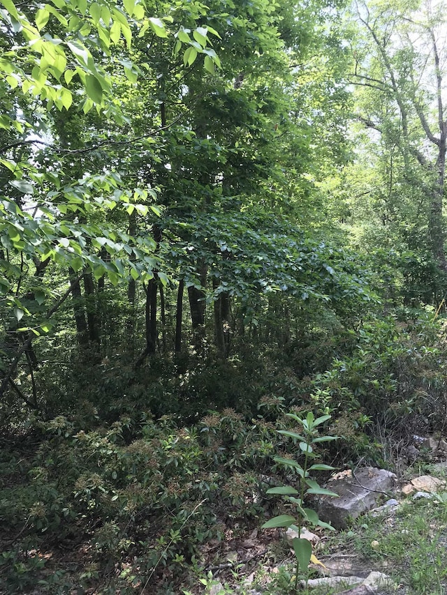 41 High Valley Dr S, Monterey, VA 24465