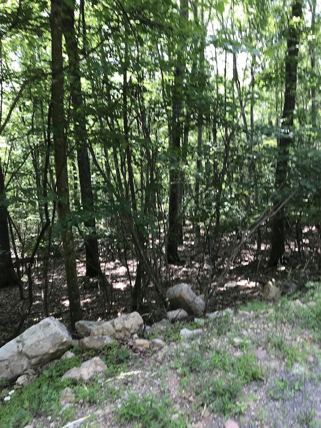 41 High Valley Dr S, Monterey, VA 24465