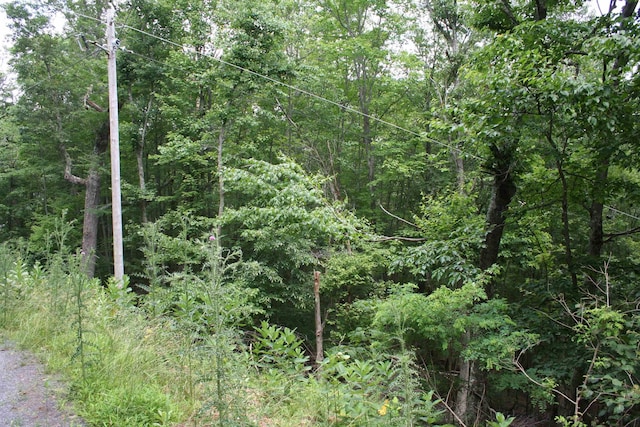 41 High Valley Dr S, Monterey, VA 24465