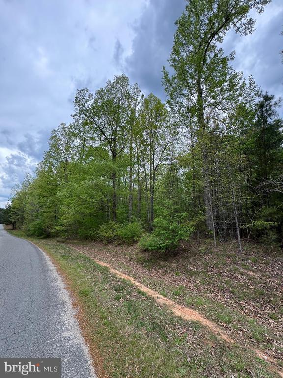 Traveller St, Mineral, VA 23117 - photo 15