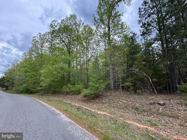 Traveller St, Mineral, VA 23117 - photo 14