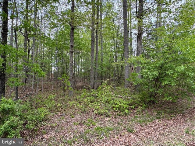 Traveller St, Mineral, VA 23117 - photo 13