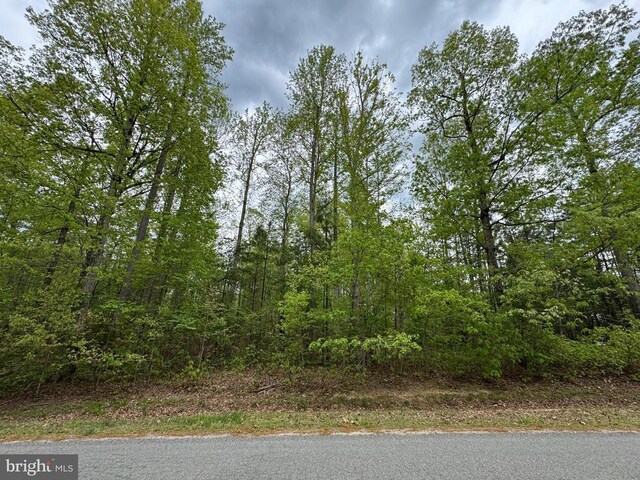 Traveller St, Mineral, VA 23117 - photo 12