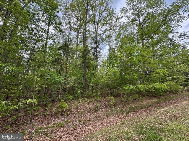 Traveller St, Mineral, VA 23117 - photo 19