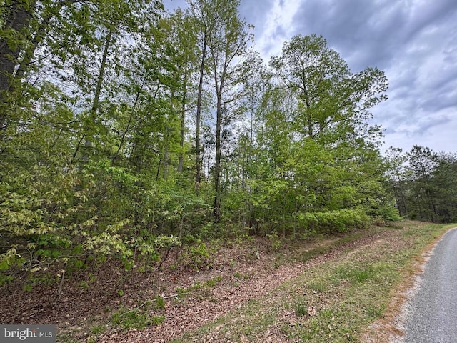 Traveller St, Mineral, VA 23117 - photo 20