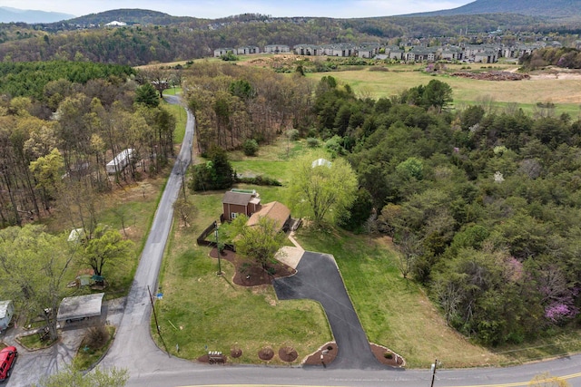 3002 Resort Dr, Mcgaheysville, VA 22840 - photo 50