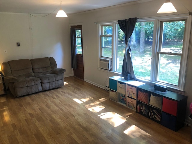 109 Cooper Dr, Stuarts Draft, VA 24477 - living room with wood finished floors, cooling unit, and a baseboard heating unit