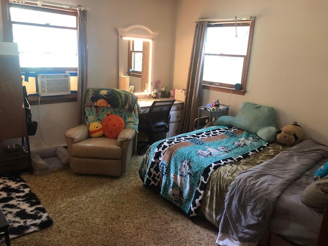 109 Cooper Dr, Stuarts Draft, VA 24477 - view of carpeted bedroom