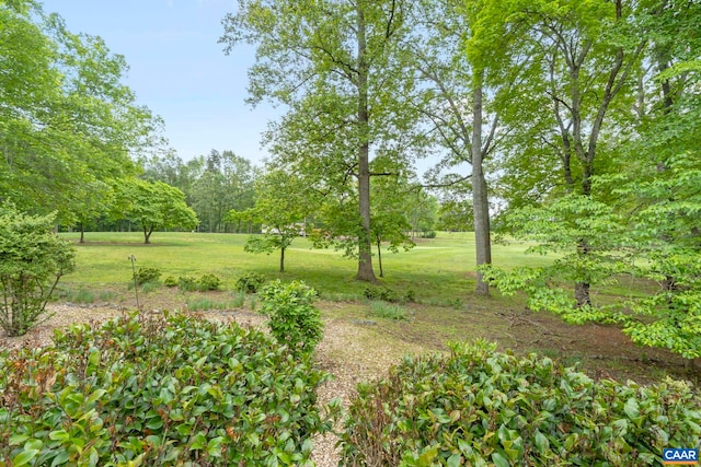 7 Spoon Ter, Palmyra, VA 22963 - view of green lawn