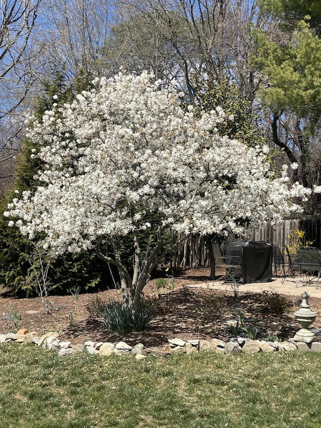 27 Shannon Pl Unit 27, Staunton, VA 24401 - view of yard