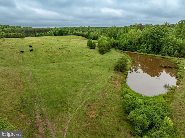 50 Elizabeth Ln, Louisa, VA 23093 - photo 27