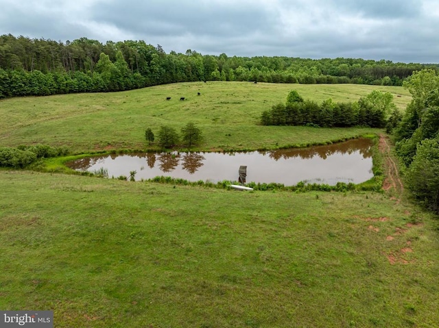 50 Elizabeth Ln, Louisa, VA 23093 - photo 26