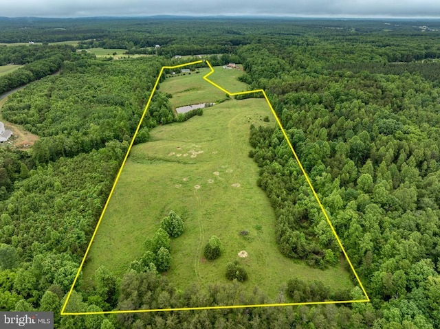 50 Elizabeth Ln, Louisa, VA 23093 - photo 31