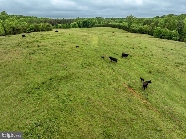 50 Elizabeth Ln, Louisa, VA 23093 - photo 28