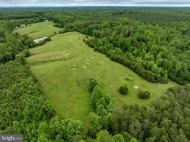 50 Elizabeth Ln, Louisa, VA 23093 - photo 33