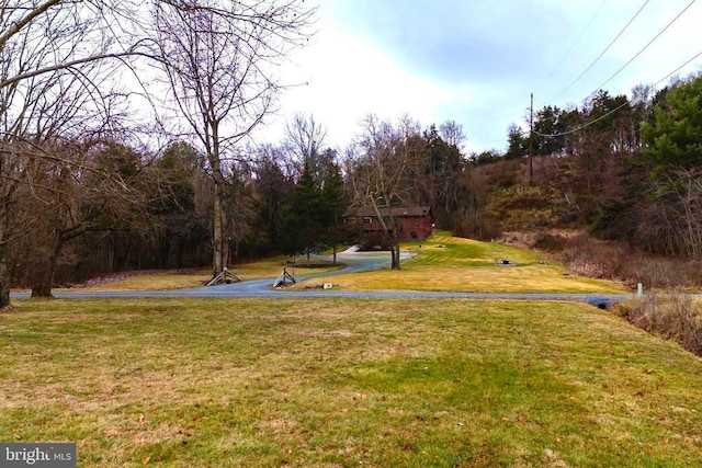 400 Fork River Rd N, Shenandoah, VA 22849 - view of grassy yard