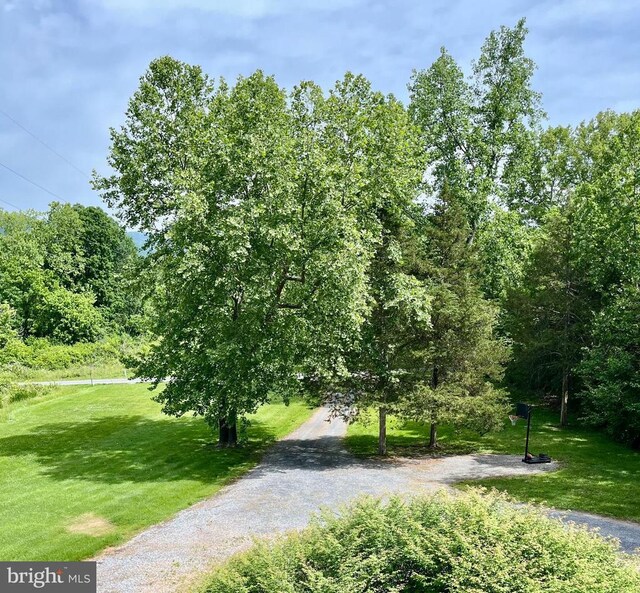 400 Fork River Rd N, Shenandoah, VA 22849 - photo 16