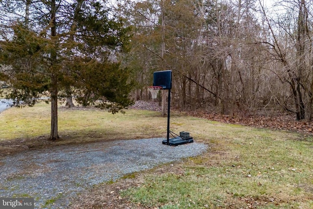 400 Fork River Rd N, Shenandoah, VA 22849 - view of green lawn