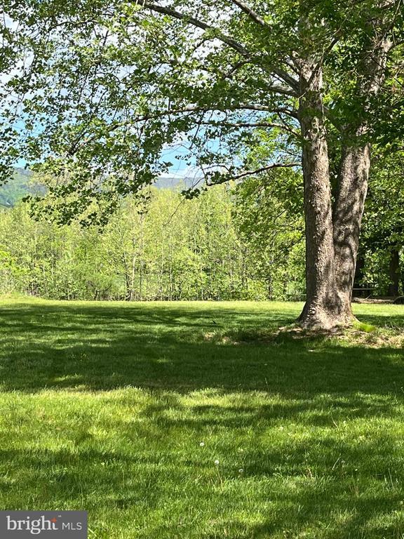 400 Fork River Rd N, Shenandoah, VA 22849 - view of grassy yard