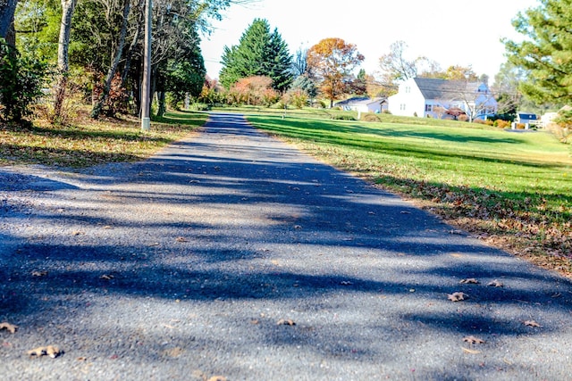 182 Henkel Rd, Waynesboro, VA 22980 - view of road