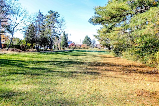 182 Henkel Rd, Waynesboro, VA 22980 - view of grassy yard