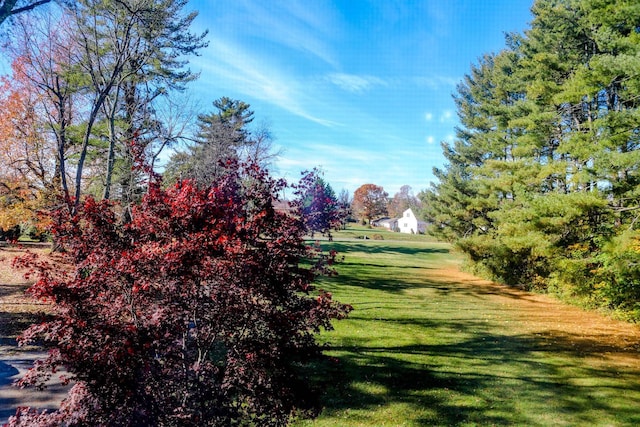 182 Henkel Rd, Waynesboro, VA 22980 - view of grassy yard