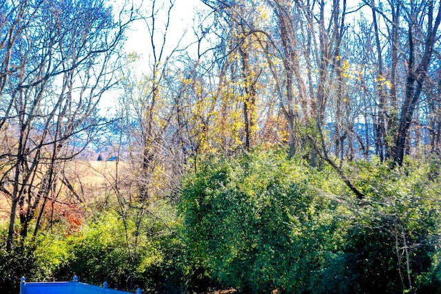 182 Henkel Rd, Waynesboro, VA 22980 - view of tree filled area