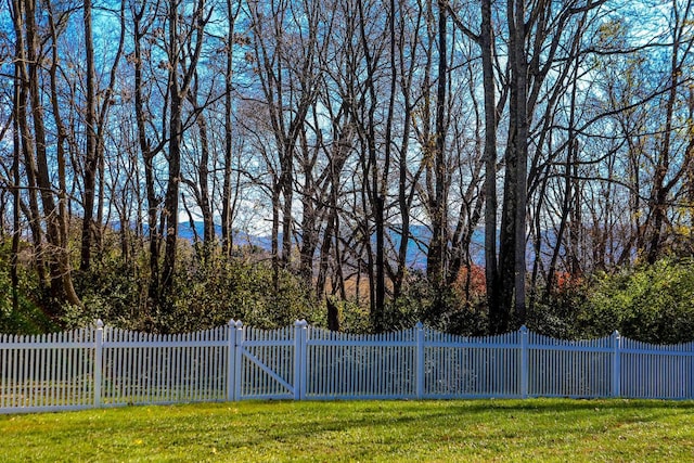 182 Henkel Rd, Waynesboro, VA 22980 - view of yard
