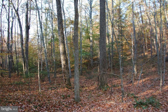 Middle Of No Way Ln, Castleton, VA 22716