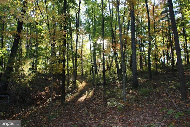 Middle Of No Way Ln, Castleton, VA 22716