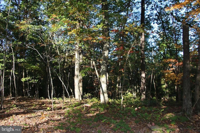 Middle Of No Way Ln, Castleton, VA 22716