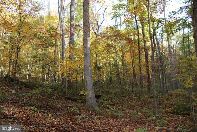 Middle Of No Way Ln, Castleton, VA 22716