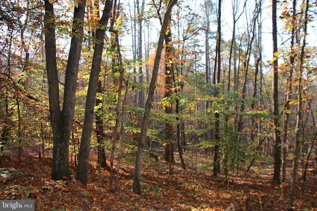 Middle Of No Way Ln, Castleton, VA 22716