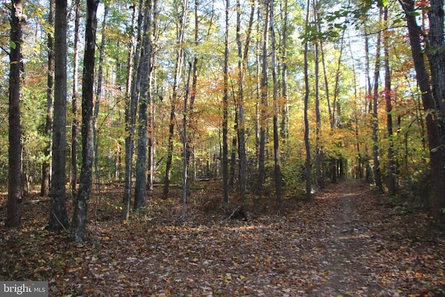 Middle Of No Way Ln, Castleton, VA 22716