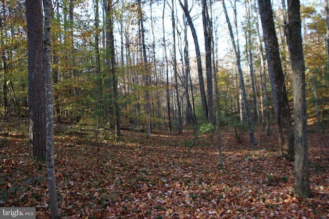 Middle Of No Way Ln, Castleton, VA 22716
