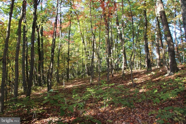 Middle Of No Way Ln, Castleton, VA 22716