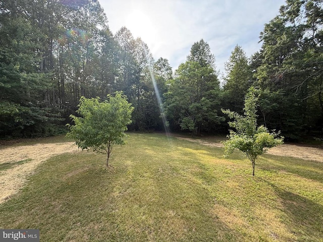 319 Chopping Rd, Mineral, VA 23117 - view of green lawn