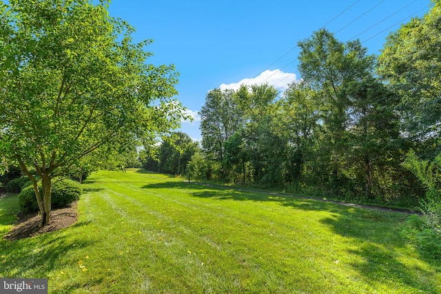  - view of green lawn