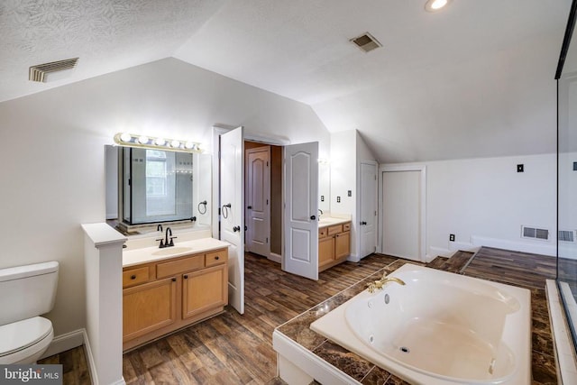 369 Eldon Yates Dr, Stanley, VA 22851 - full bath with vaulted ceiling, two vanities, a garden tub, and wood finished floors