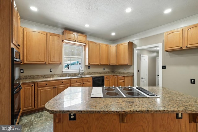 369 Eldon Yates Dr, Stanley, VA 22851 - kitchen featuring black appliances, ornamental molding, a center island, stone counters, and recessed lighting