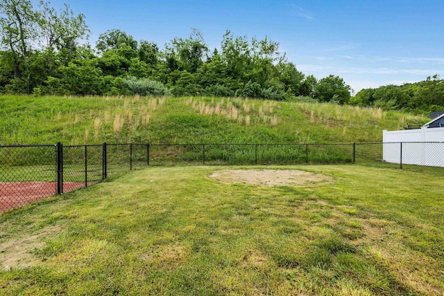 17 Mcilwee Ln, Staunton, VA 24401 - view of yard