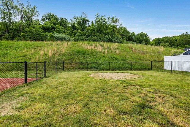 17 Mcilwee Ln, Staunton, VA 24401 - view of yard